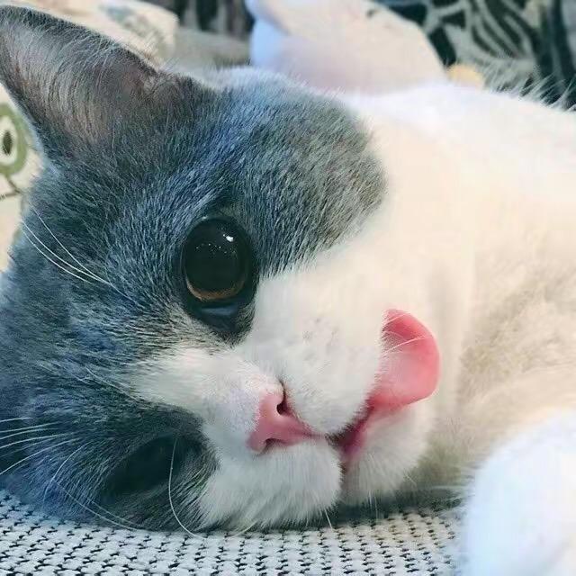 Riy的日记