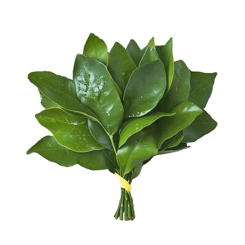 徐个愿·