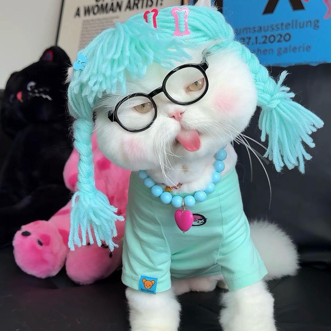 🐼十七