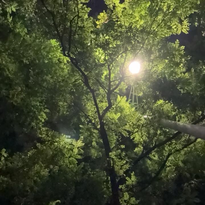 些些知