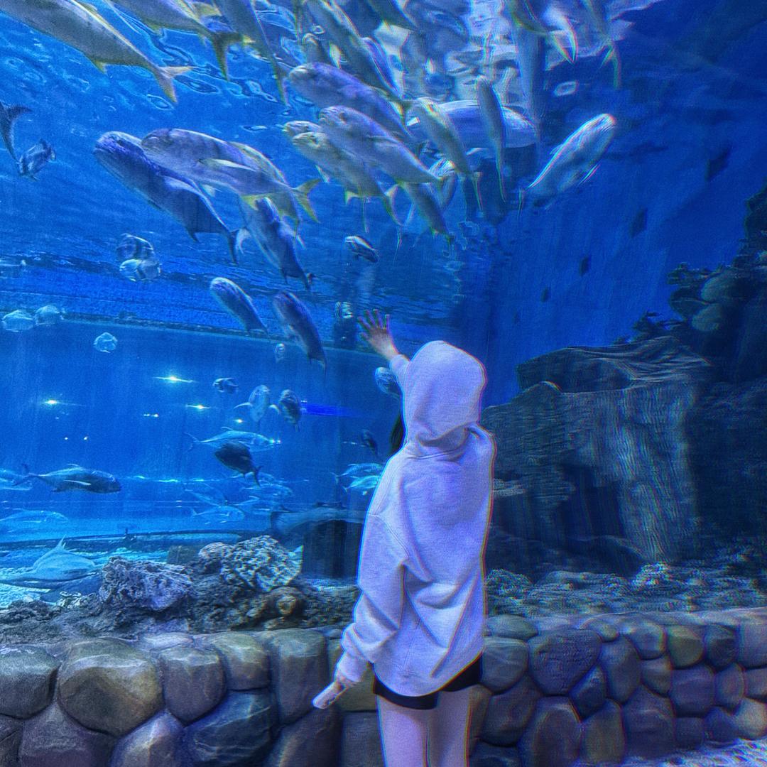 提拉米苏.🤍