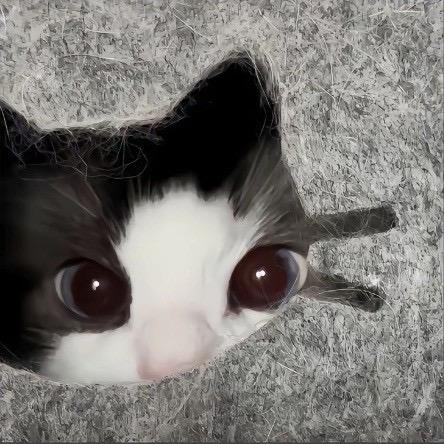 铃铛🔔～