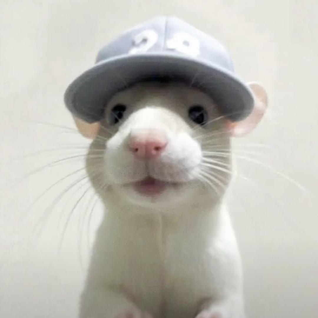 无聊的白色打火机29225