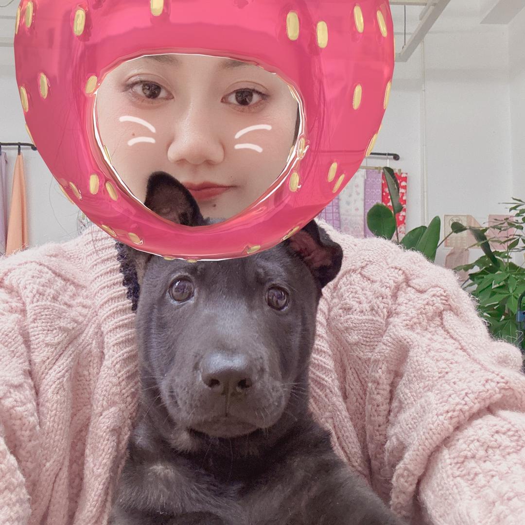 开开心心🥰