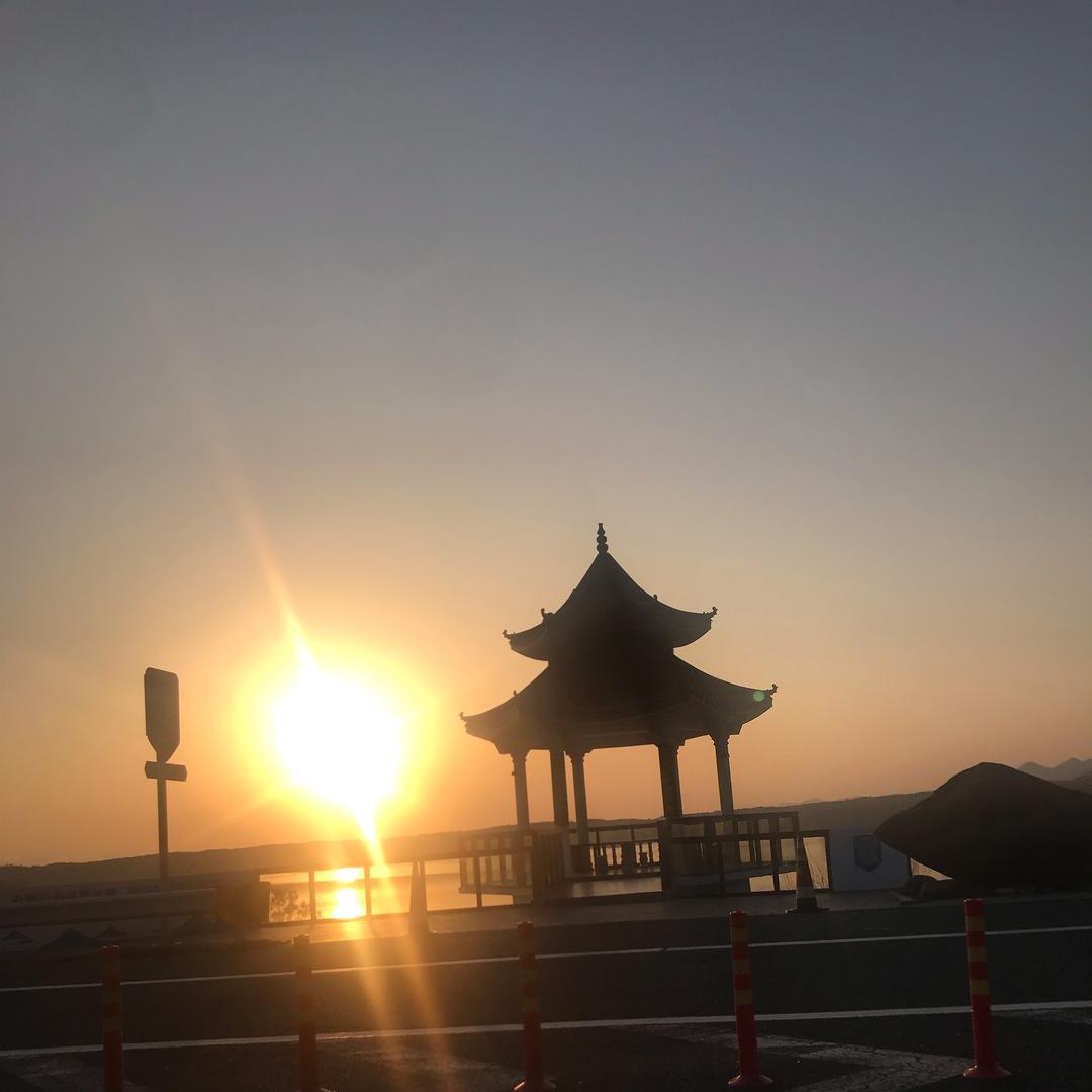 板