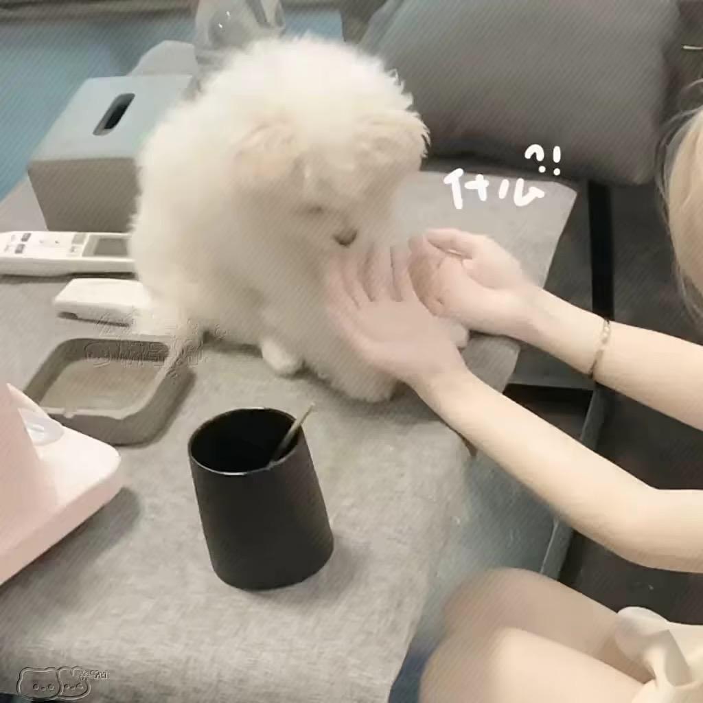慕离