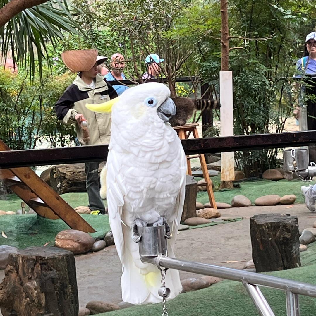 用户福来财来好运来