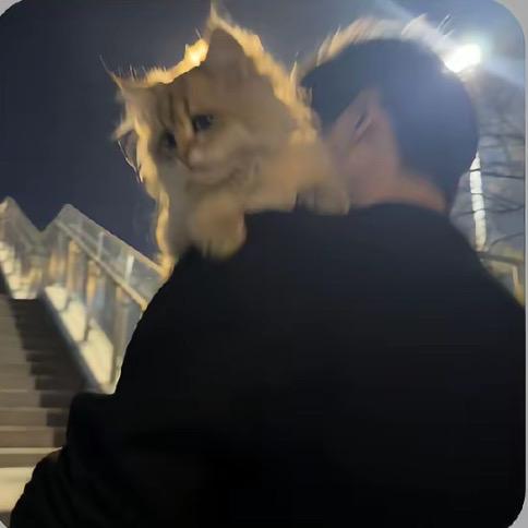 鸿发二手车（铭铭）