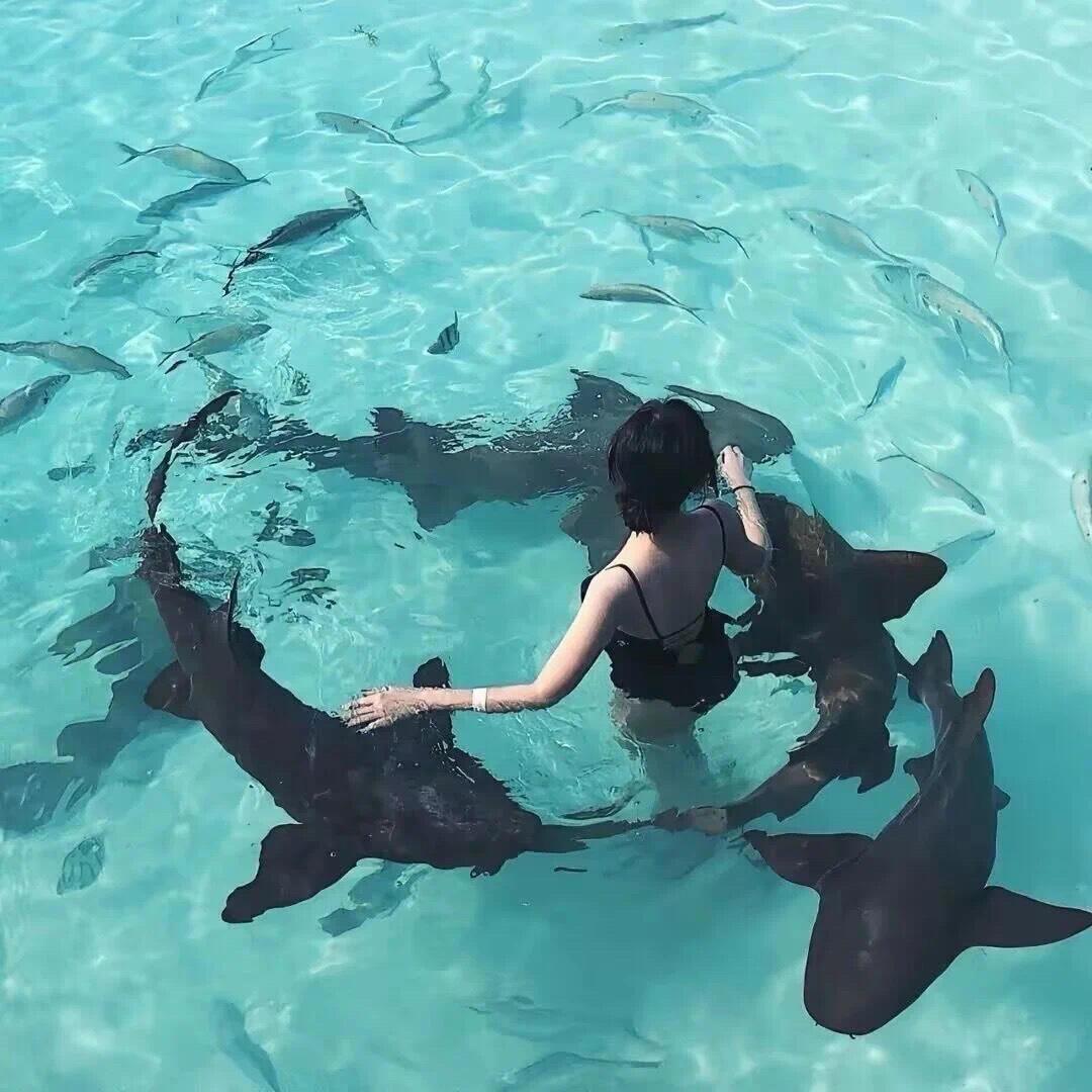 呼啦圈