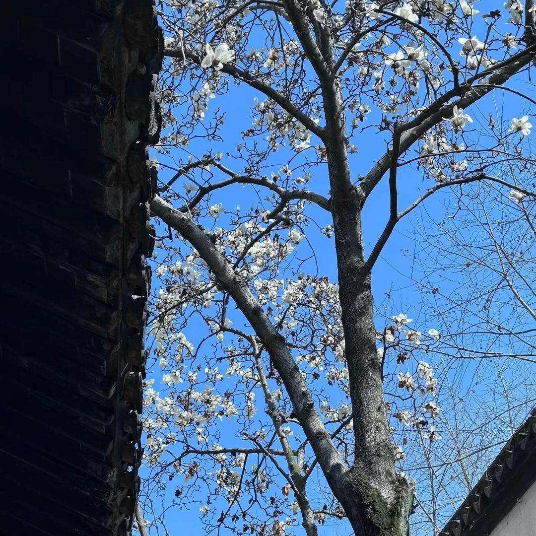 账号停用 随时注销