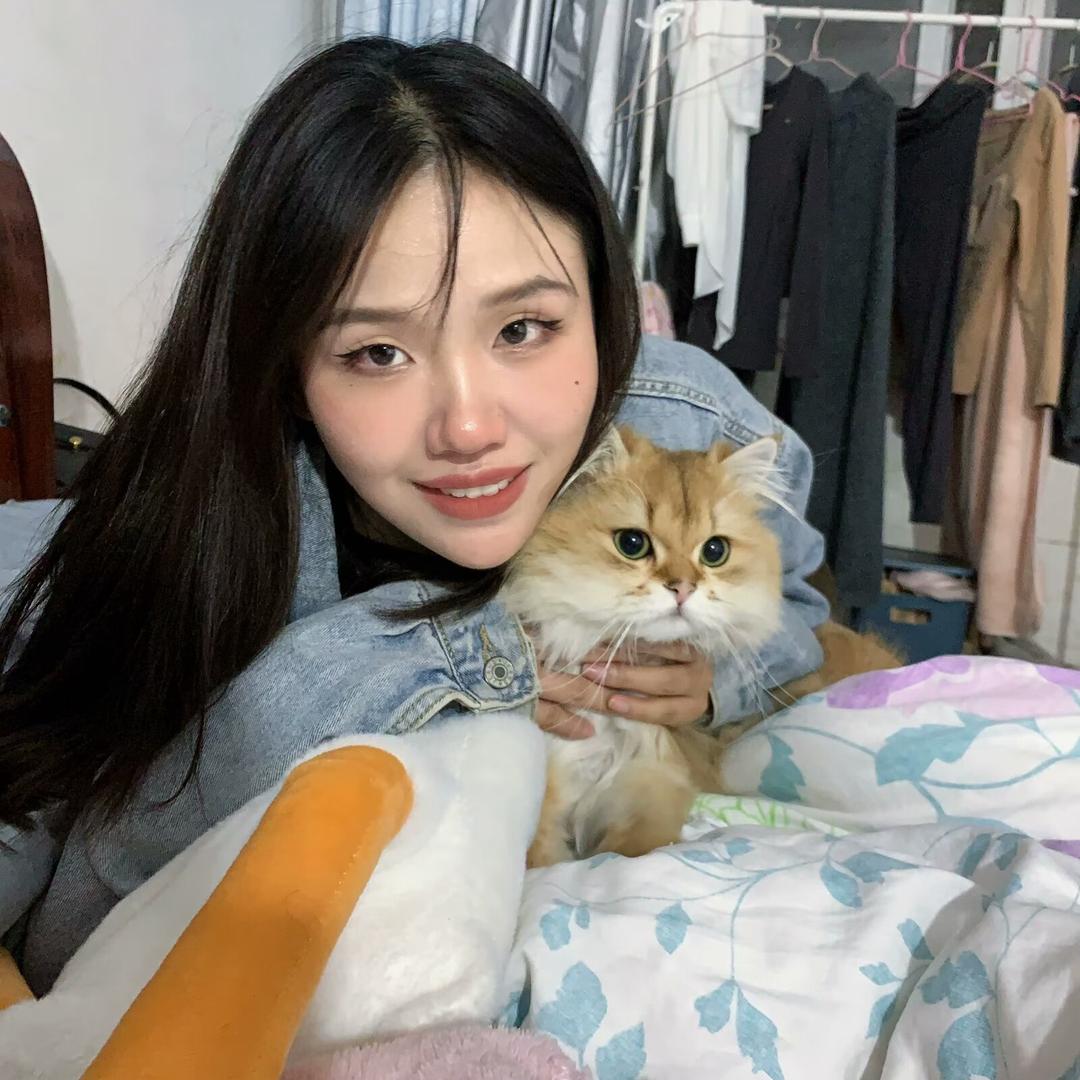 冷水煮乐器ꪔ̤̮