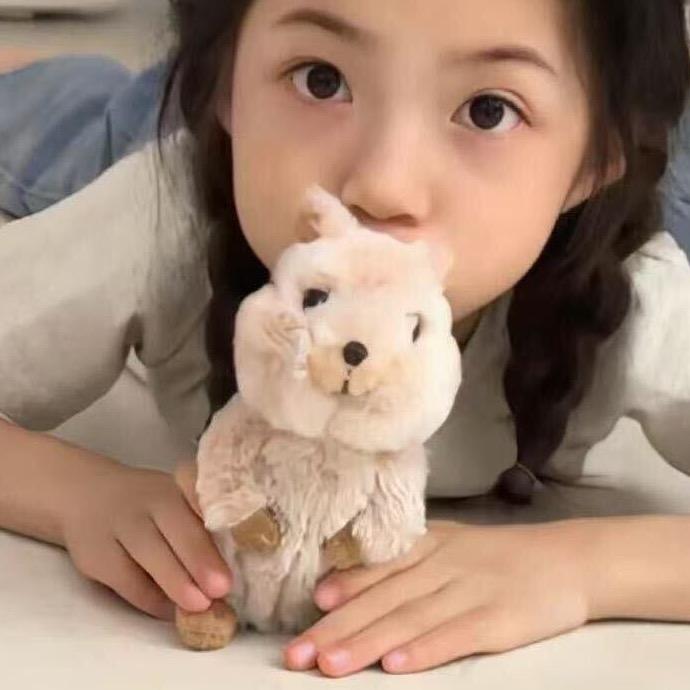 河护小阳学长