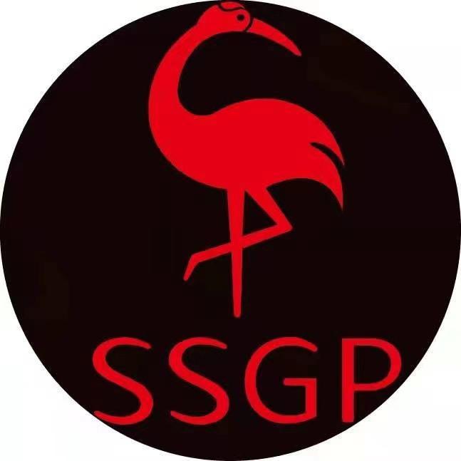 SSGP/三四钢/叁肆钢