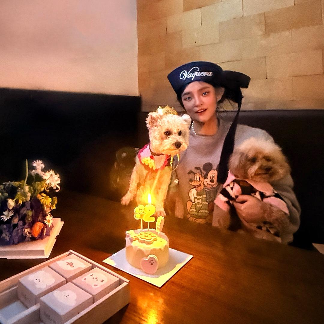 苏西大小姐