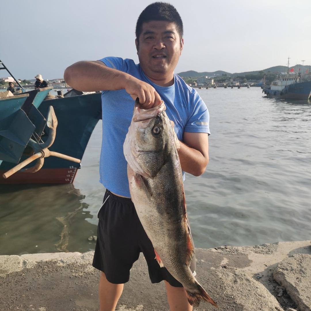 大连胖哥海鲜