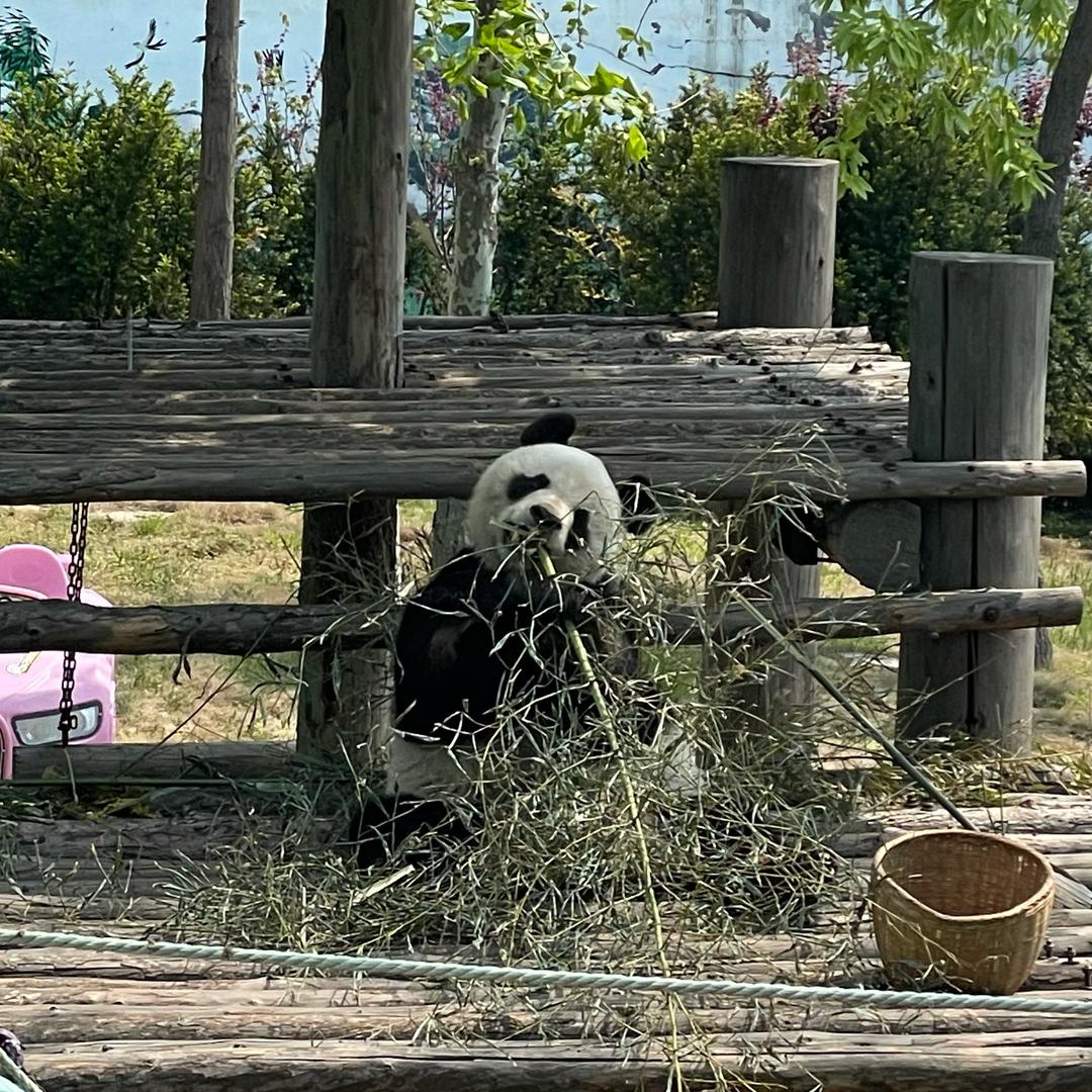 深评浅谈