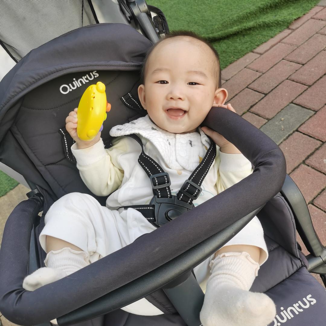 十七崽和六六🐱