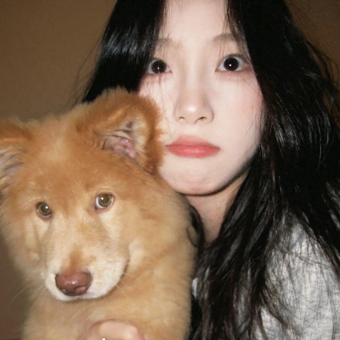 绿尾凤