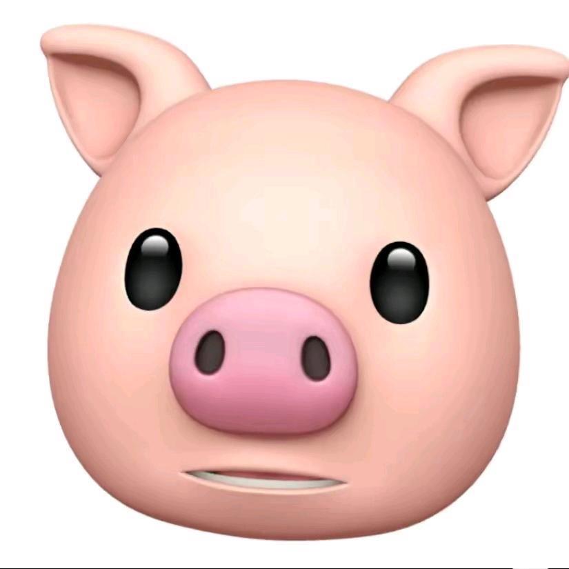 毛毛