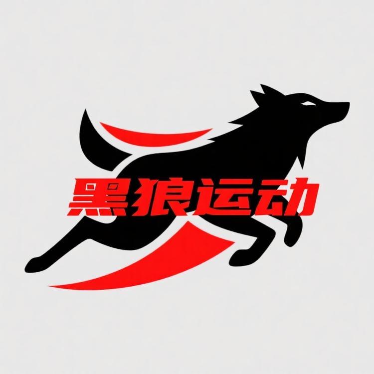 黑豹运动2