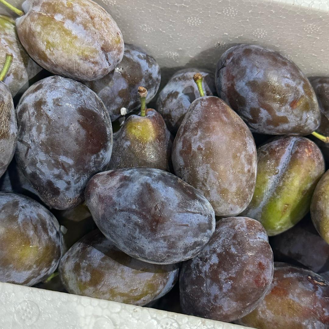 全国水果供应链