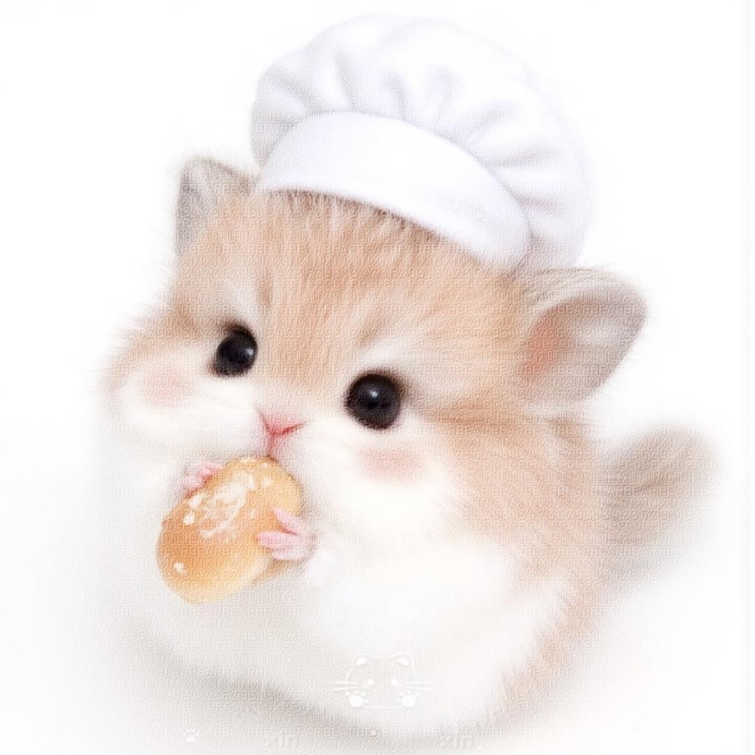 11087