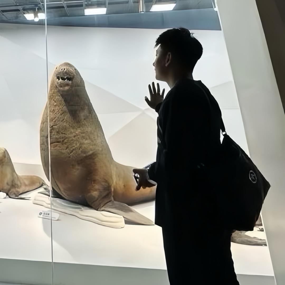 平度发型师·鹏鹏.