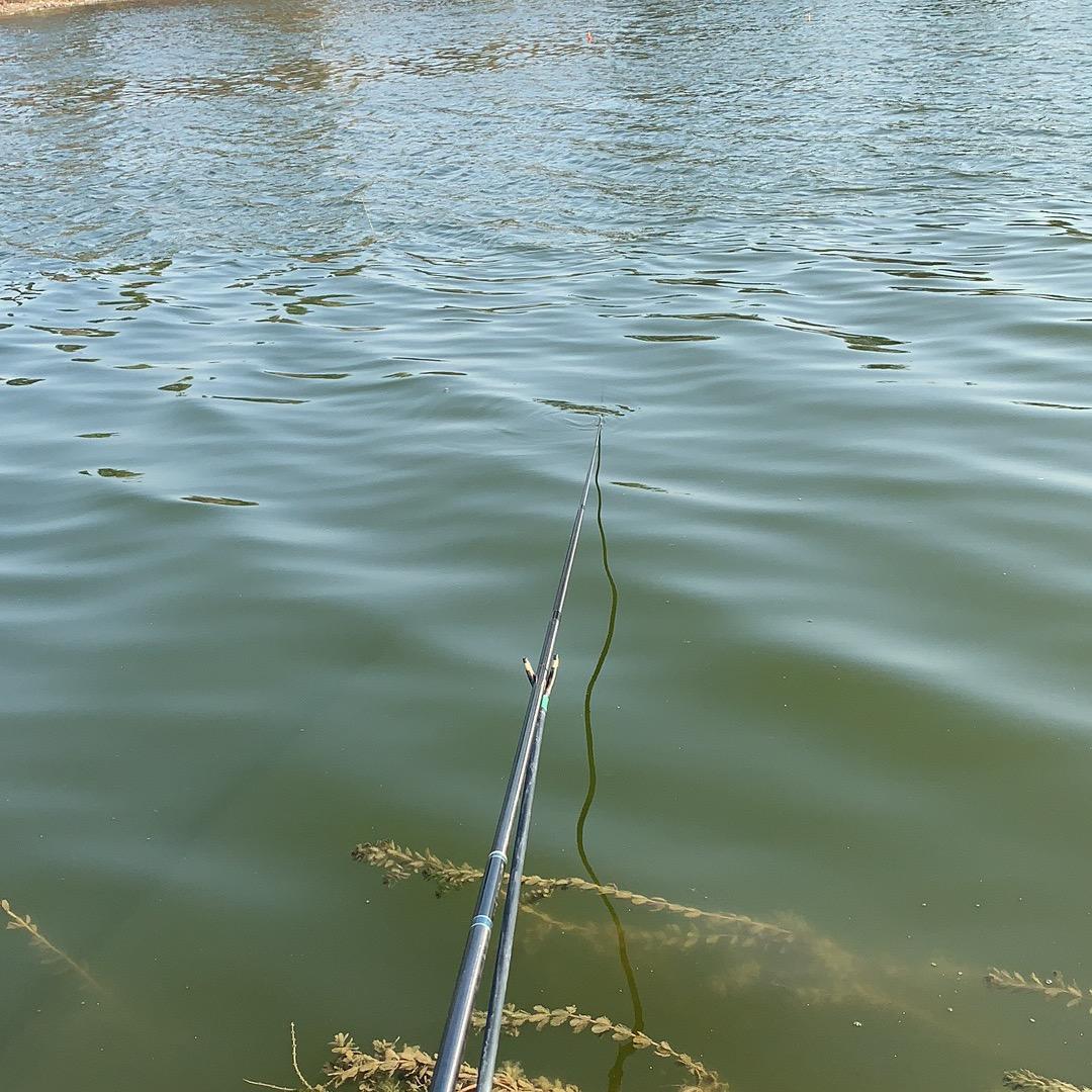 京钓阿健🎣