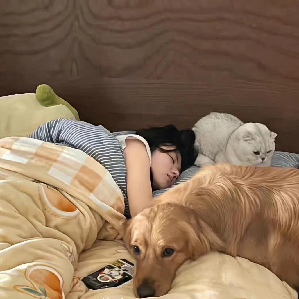 晚安.