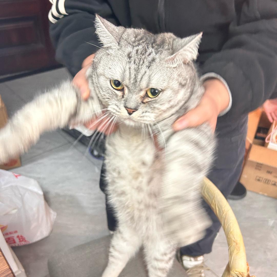 货运老司机