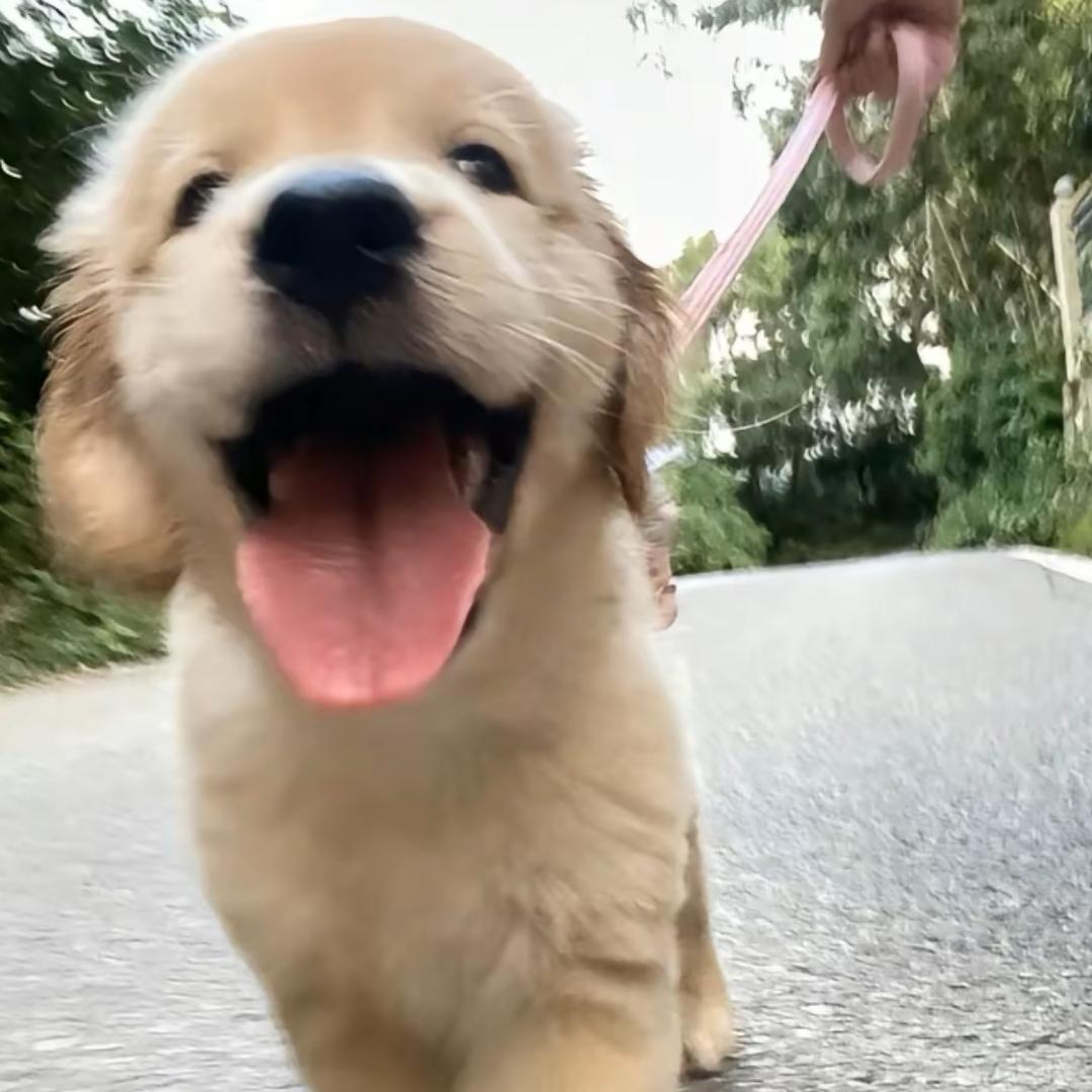 鲭的穿搭日记.📓