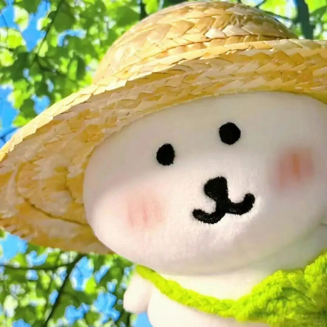 爱装的小妞