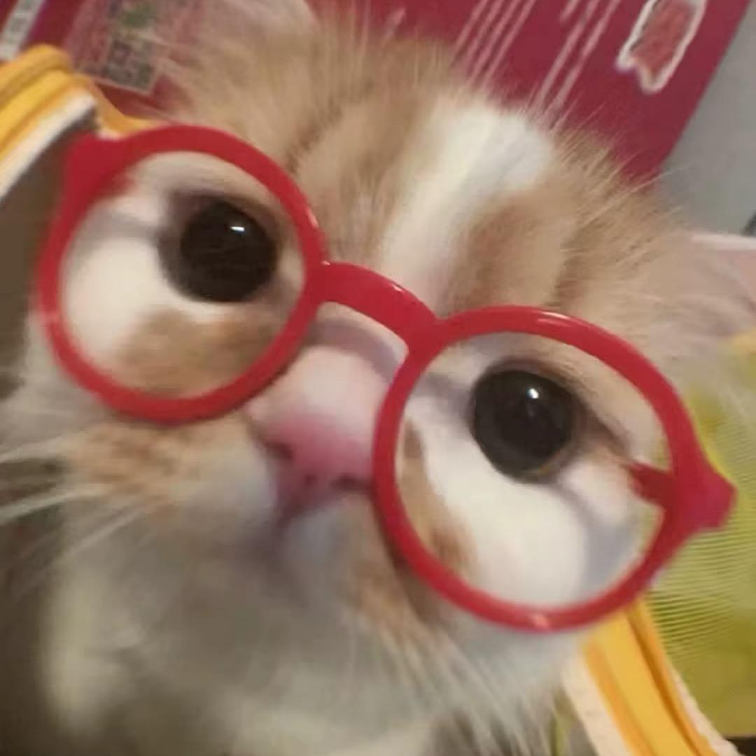 心碎小鱼