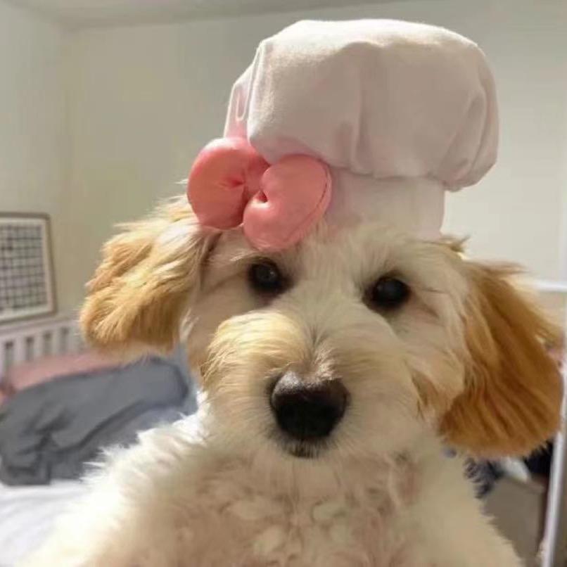 春花