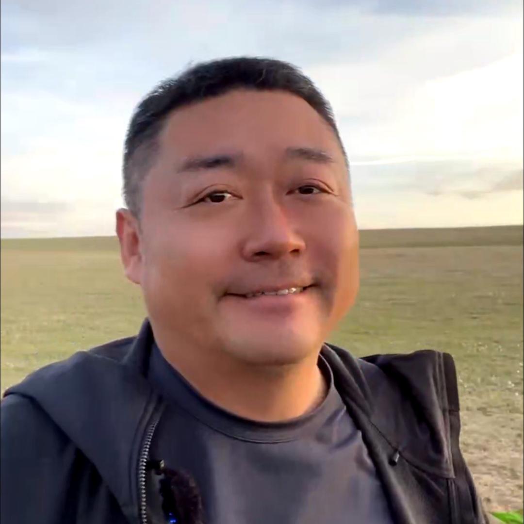 老马在草原（阿权）