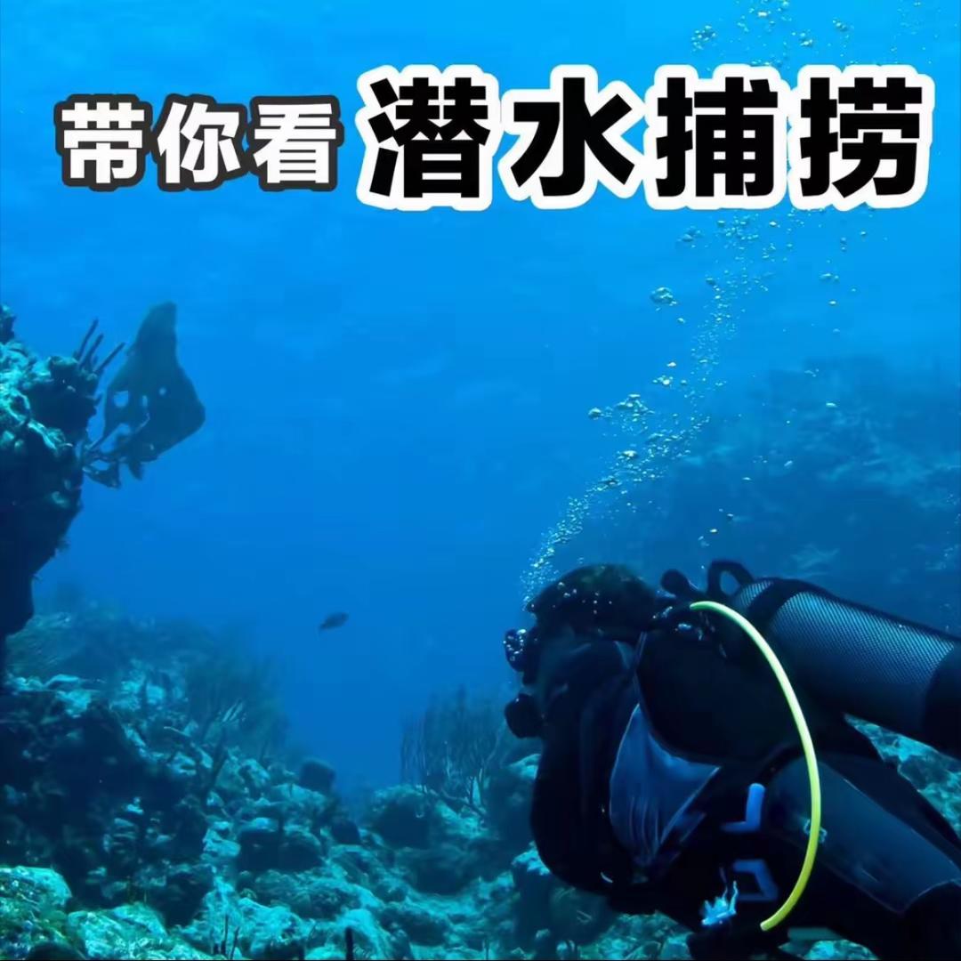 阿华❤️