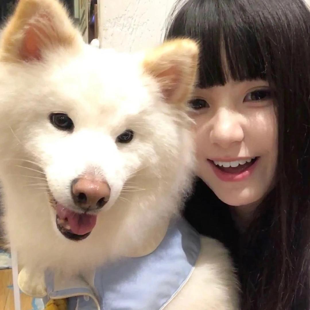曲琦豆沙糕手