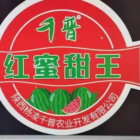西瓜女王逢兵必赞👍