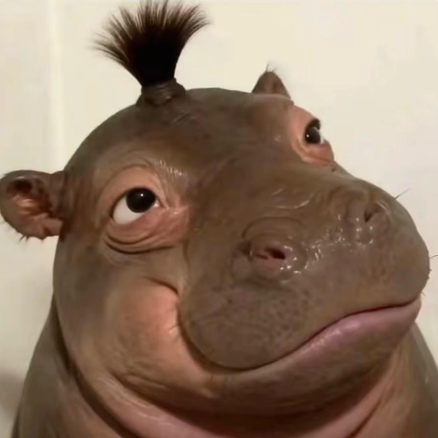 张张包