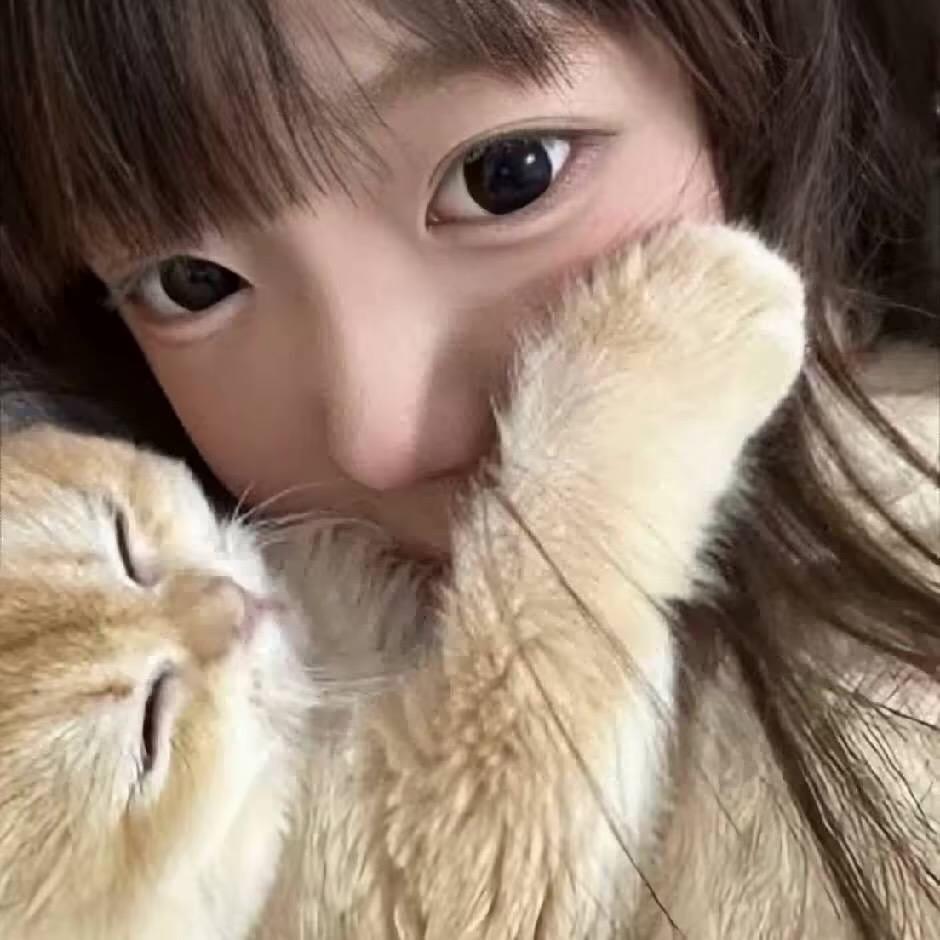 怡不怡