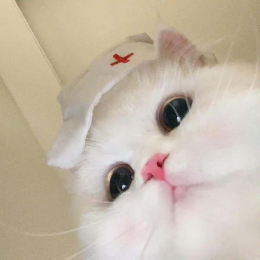 小香香*¯︶¯*