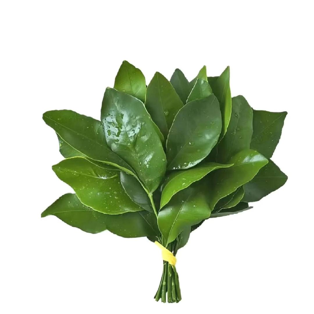 琴断朱弦