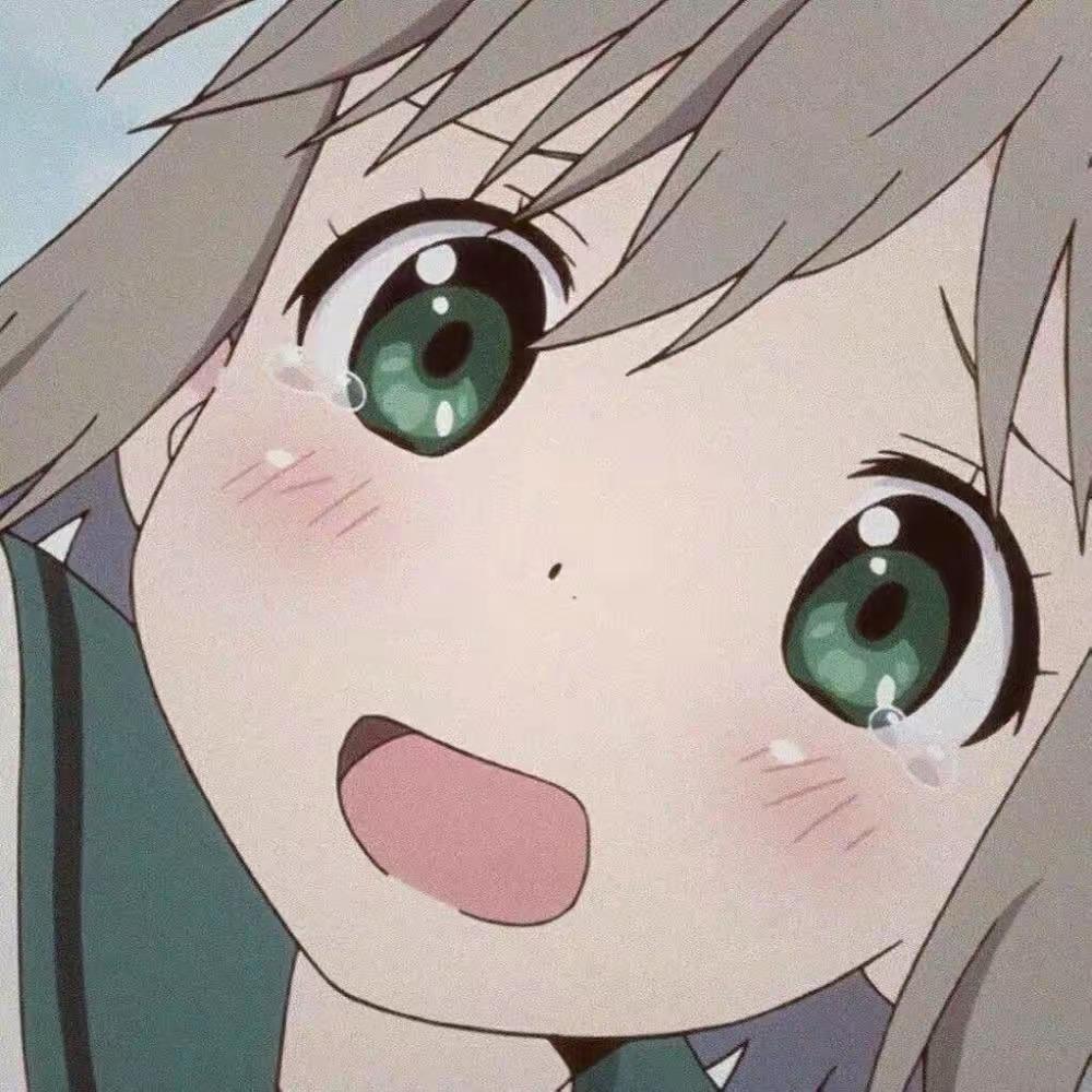 球球🐬的头像