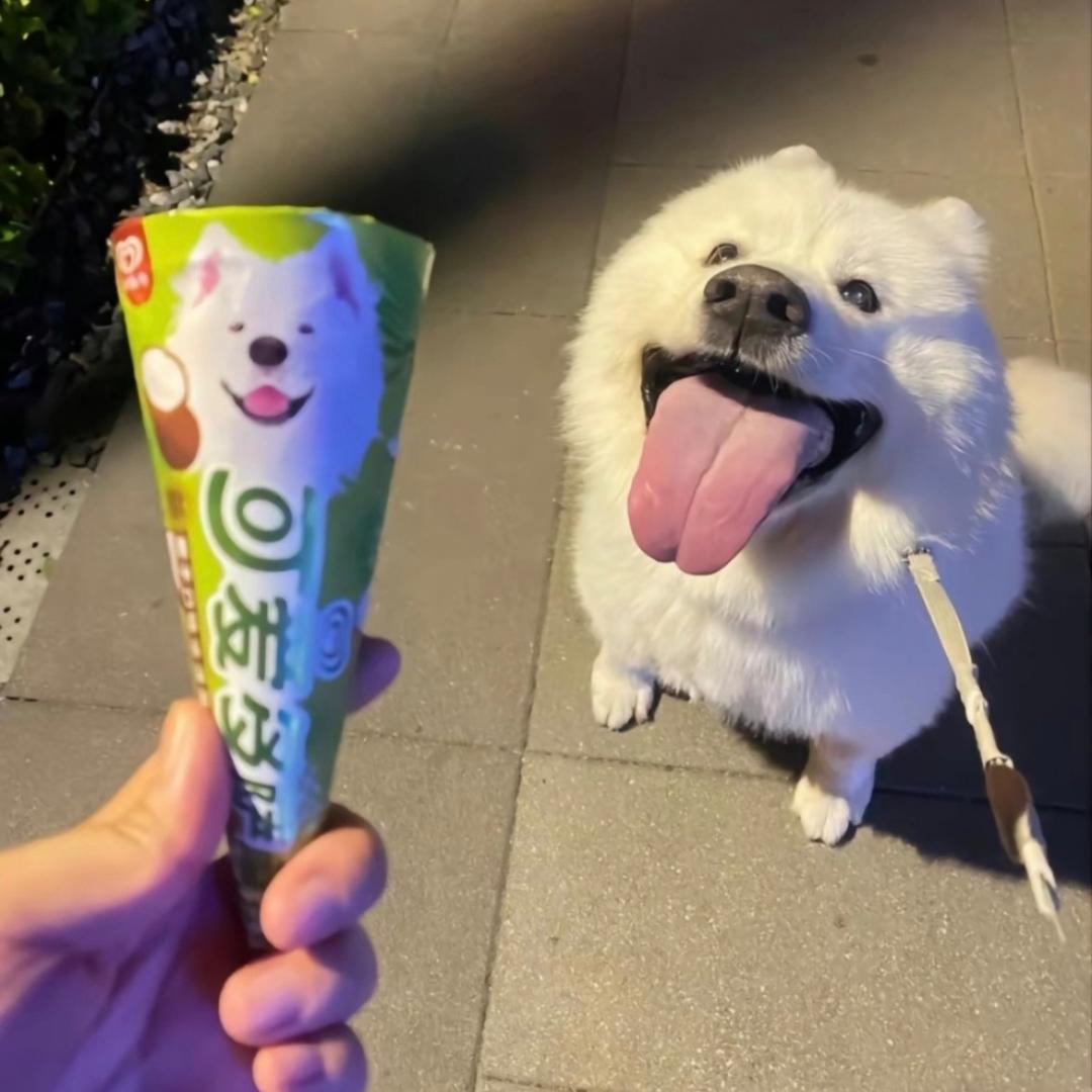 樂ㅤ