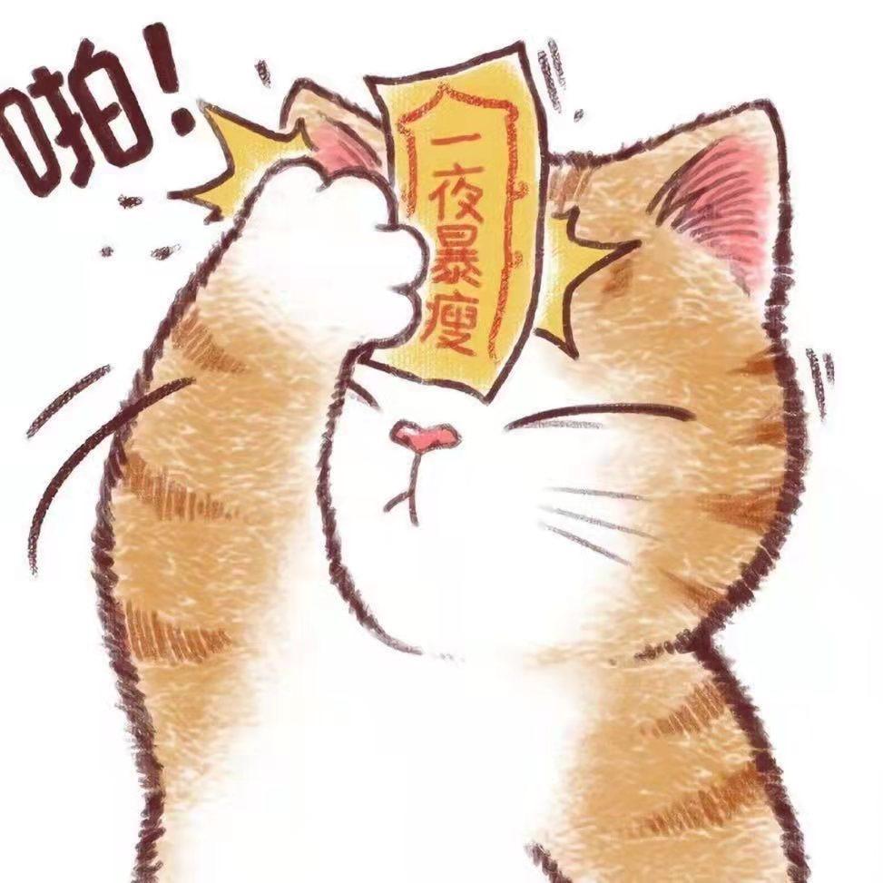 瞎猫遇见死耗子