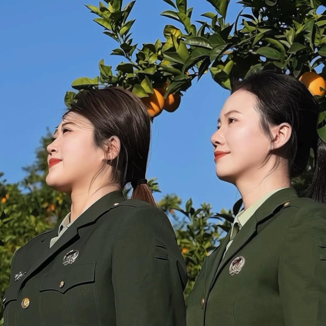 退役姐妹赣南脐橙