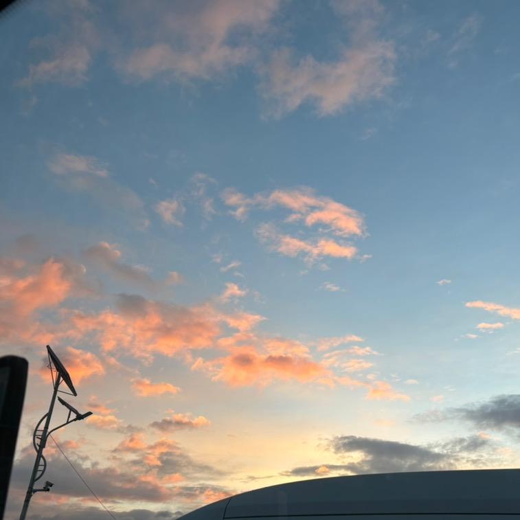 花开富贵，幸福一生