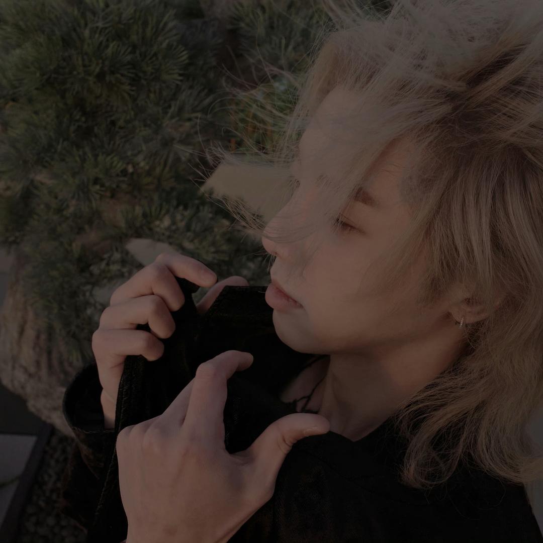 悲伤薏米排骨汤