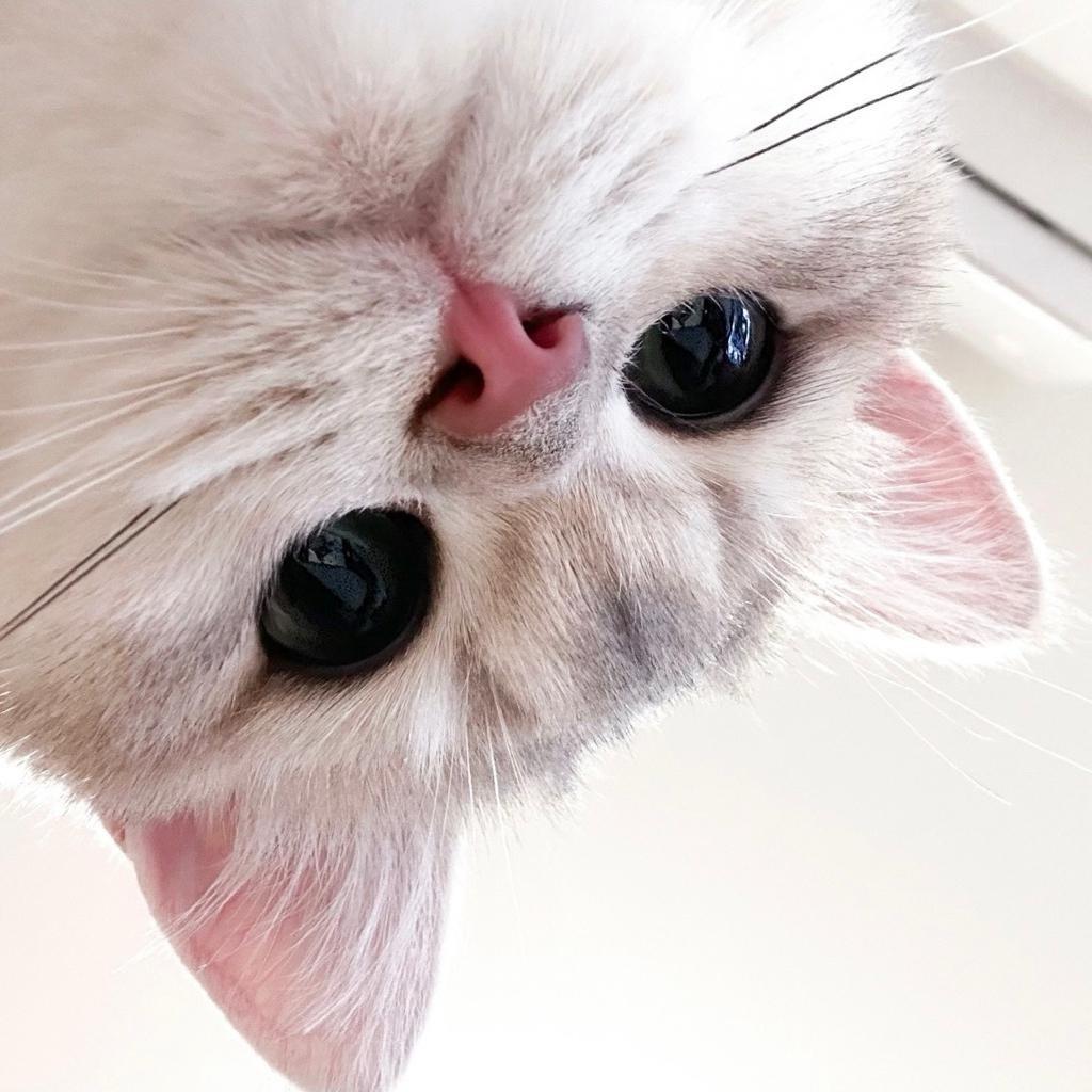 不是很想了解你