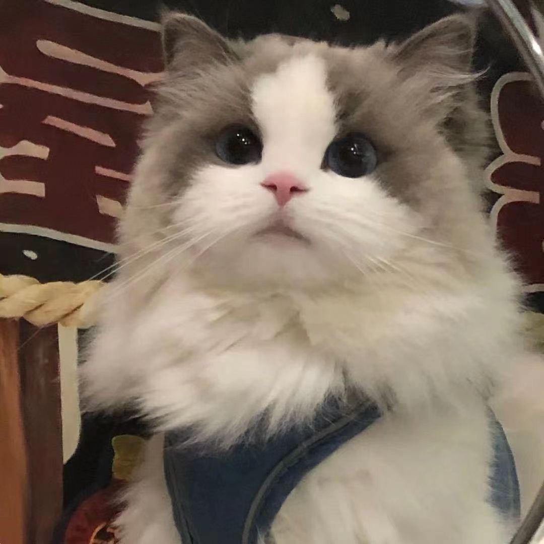 hhiii